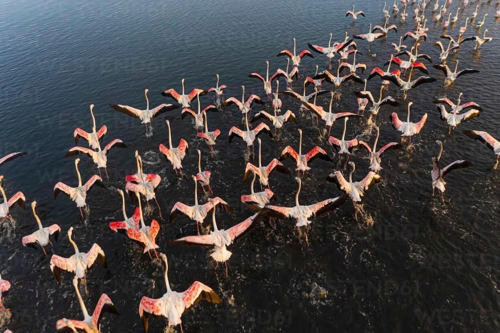 Bird'S Home 아베이루 외부 사진